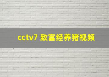 cctv7 致富经养猪视频